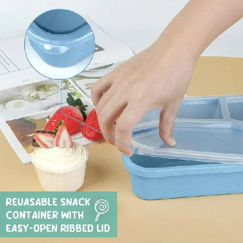 Lunch Box 4 Compartment Meal